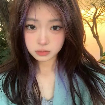 翼龙